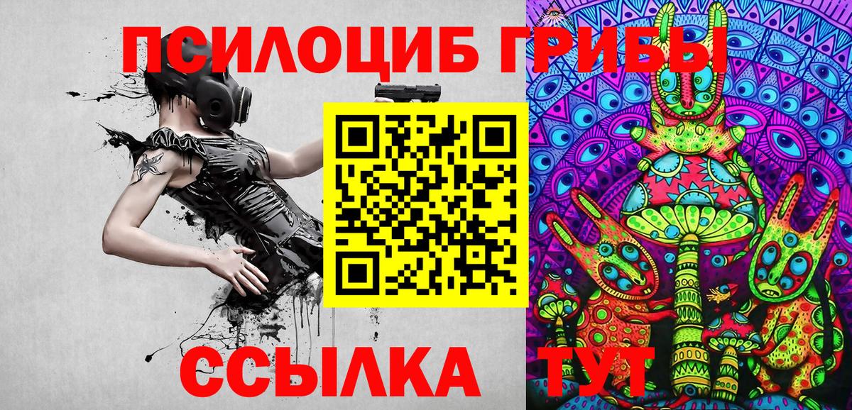 Галлюциногенные грибы прущие грибы Лабытнанги