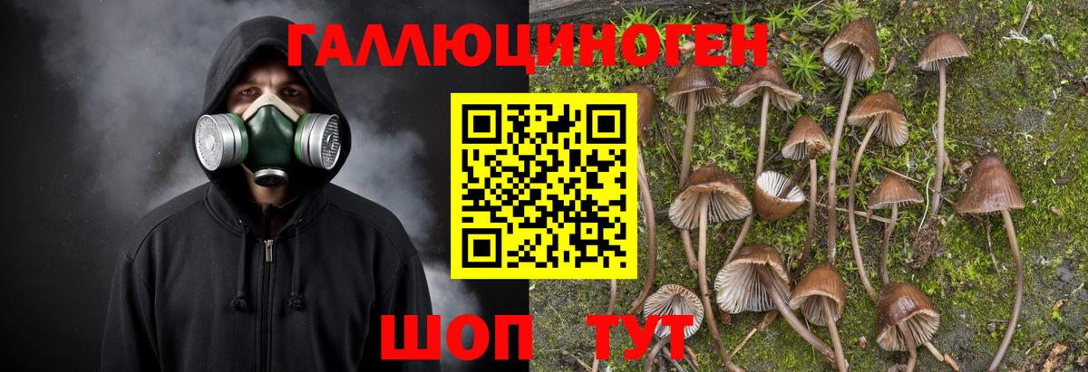 Псилоцибиновые грибы мицелий  Галлюциногенные грибы ЛСД  цена   Вход с VPN  Лабытнанги 